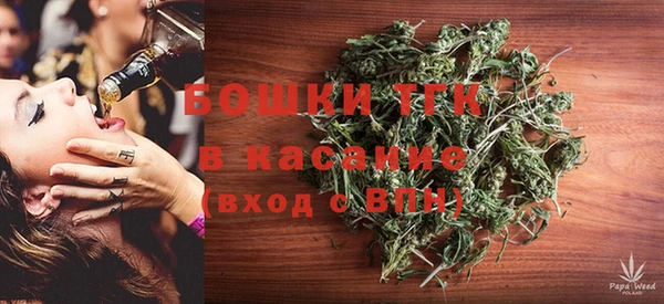гидропоника Каменногорск