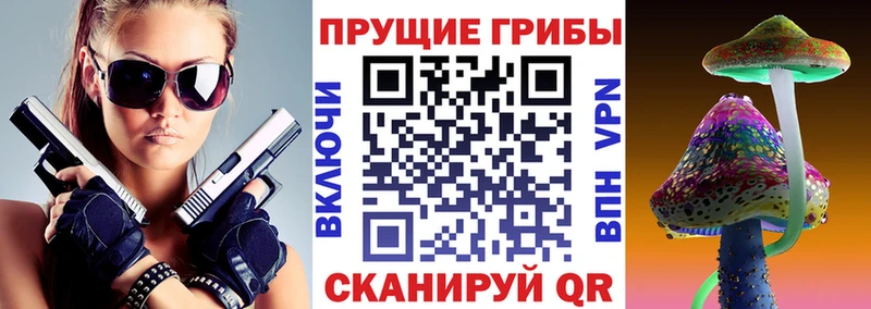 сколько стоит  Чистополь  Галлюциногенные грибы прущие грибы 
