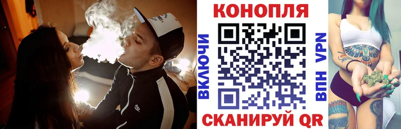 что такое   Чистополь  Конопля OG Kush 